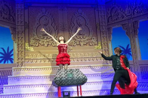 VIP向けに壮大なマジックショーをしている様子